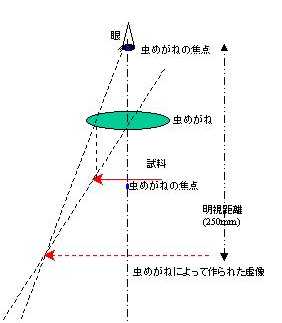 ߂˂̎dg