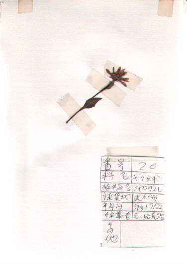 ~RX